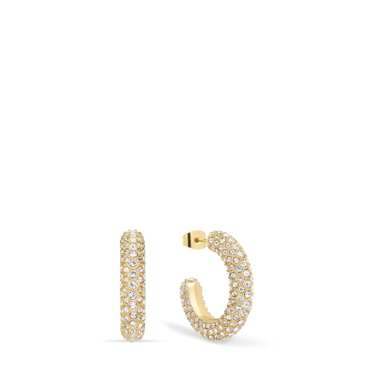 Arctic Symphony | gold glänzend| Klein