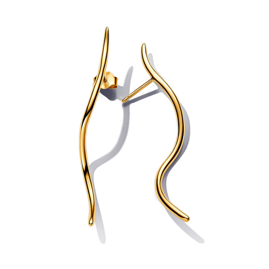 Organisch Geformte Draht Ohrringe